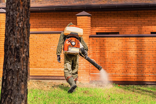 Trusted Bed Bug Control service in Black Canyon City, AZ - Nex Pest Control
